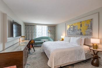 Room, 1 King Bed