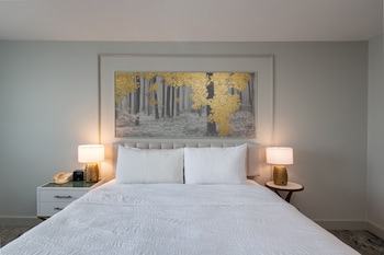 Room, 1 King Bed
