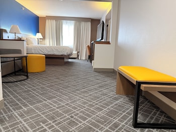 Suite, 1 King Bed with Sofa bed, Non Smoking