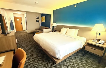Suite, 1 King Bed with Sofa bed, Non Smoking
