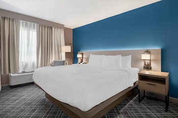 Room, 1 King Bed, Accessible, Non Smoking