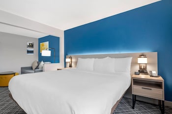 Suite, 1 King Bed with Sofa bed, Non Smoking
