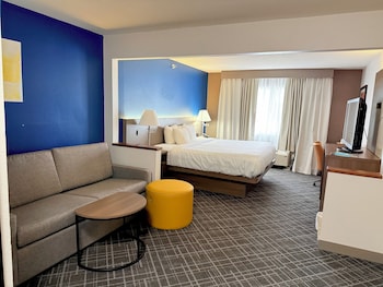 Suite, 1 King Bed with Sofa bed, Non Smoking