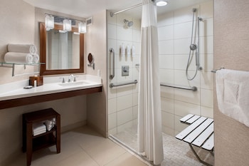 Room, 1 King Bed (Mobility Accessible, Roll-In Shower)