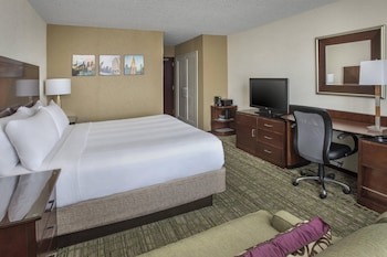 Room, 1 King Bed