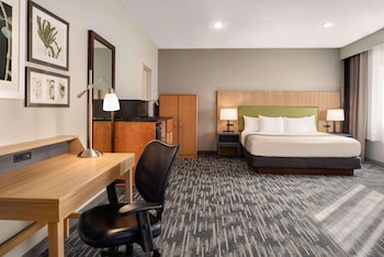 Room, 1 King Bed, Non Smoking, Kitchenette