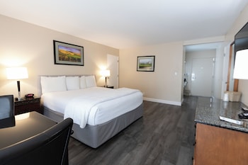 Signature Room, 1 King Bed, Patio, Ground Floor
