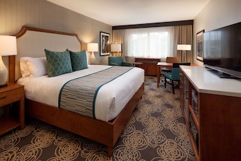 Room, 1 King Bed, Accessible, Bathtub (Hearing)