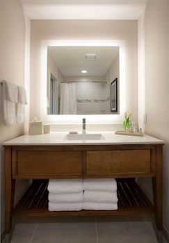 Room, 1 King Bed, Accessible (Roll-In Shower)