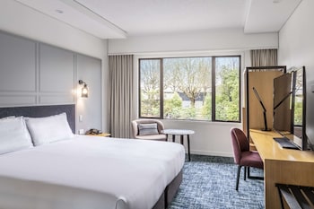 Deluxe Room, 1 King Bed, Non Smoking