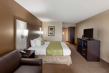 Standard Room, 1 King Bed, Non Smoking, Balcony (with Sofabed)