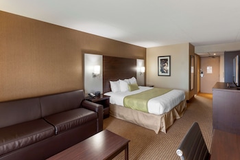 Standard Room, 1 King Bed, Non Smoking, Balcony (with Sofabed)