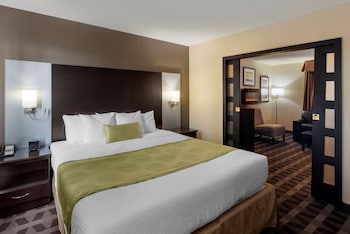 Family Suite, Multiple Beds, Non Smoking, Refrigerator & Microwave (with Sofabed)