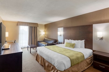 Standard Room, 1 King Bed, Non Smoking, Balcony (with Sofabed)