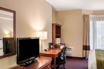 Standard Room, 1 King Bed, Non Smoking