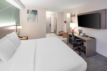 Standard Room, 1 King Bed, Non Smoking