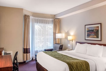 Standard Room, 1 King Bed, Non Smoking