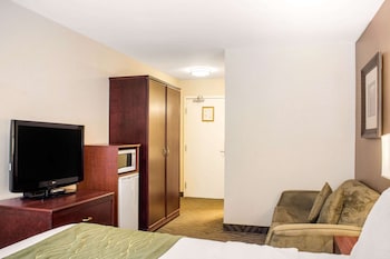 Standard Room, 1 Queen Bed with Sofa bed, Non Smoking