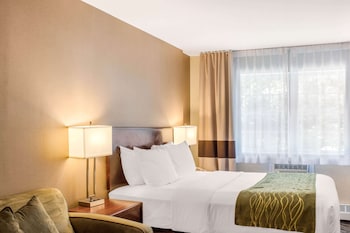 Standard Room, 1 Queen Bed with Sofa bed, Non Smoking
