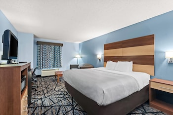 Standard Room, 1 King Bed with Sofa bed, Non Smoking