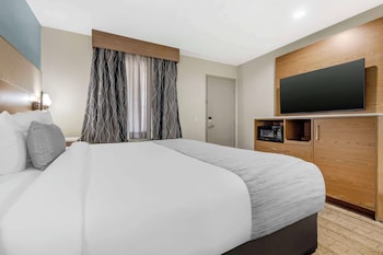 Standard Room, 1 King Bed, Non Smoking, Refrigerator & Microwave