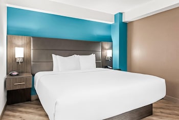Standard Room, 1 King Bed with Sofa bed, Non Smoking