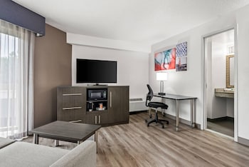 Standard Room, 1 King Bed with Sofa bed, Non Smoking