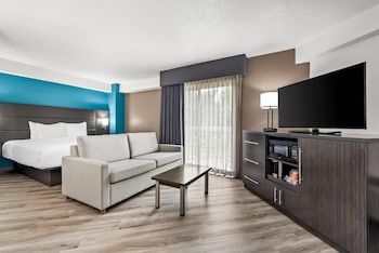 Standard Room, 1 King Bed with Sofa bed, Non Smoking
