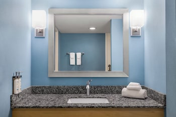 Premium Room, 1 King Bed, Roll-in Shower (Mobility, Roll-In Shower)
