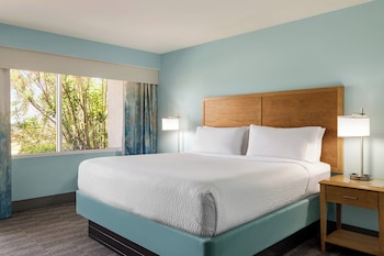 Premium Room, 1 King Bed, Roll-in Shower (Mobility, Roll-In Shower)