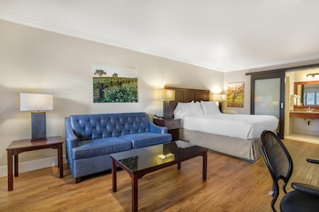 Deluxe Room (1 King)