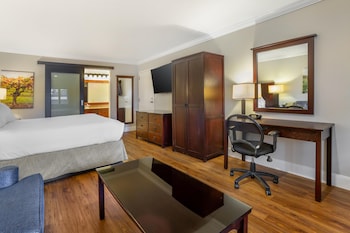 Deluxe Room (1 King)