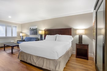 Deluxe Room (1 King)