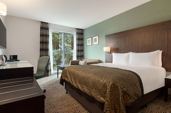 Premium Room, 1 Queen Bed with Sofa bed
