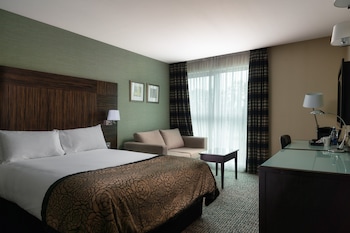 Premium Room, 1 Queen Bed with Sofa bed