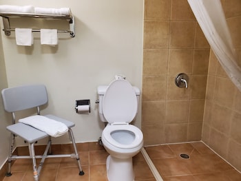 Room, 1 King Bed, Accessible