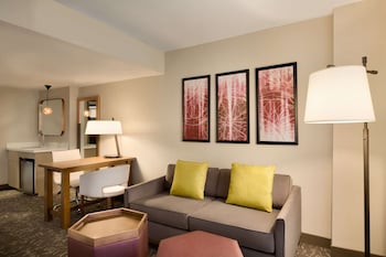 Suite, 1 King Bed, Accessible (Roll-in Shower)