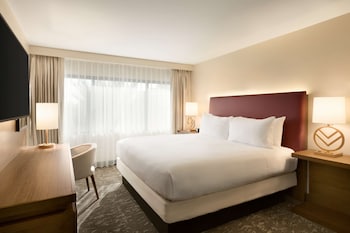 Suite, 1 King Bed, Accessible (Roll-in Shower)