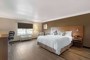 Standard Room, 1 King Bed, Non Smoking, Bathtub
