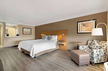 Standard Room, 1 King Bed, Accessible, Non Smoking
