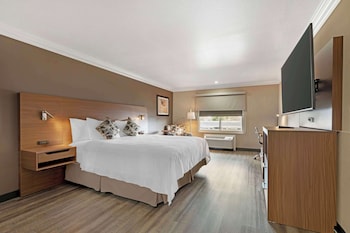 Standard Room, 1 King Bed, Accessible, Non Smoking