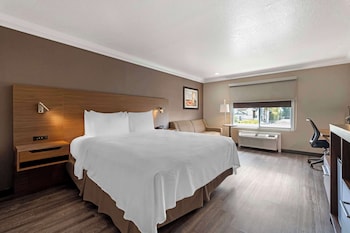 Standard Room, 1 King Bed, Non Smoking, Refrigerator (with Sofabed)