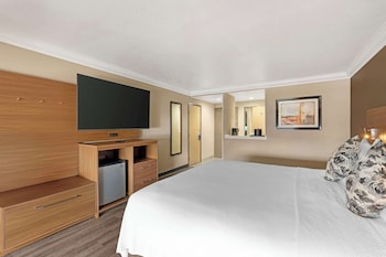 Standard Room, 1 King Bed, Accessible, Non Smoking