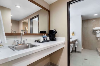 Standard Room, 1 King Bed, Non Smoking, Jetted Tub (with Sofabed)