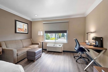 Standard Room, 1 King Bed, Non Smoking, Refrigerator (with Sofabed)
