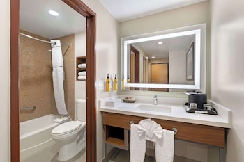 Standard Room, 1 King Bed, Non Smoking, Refrigerator (with Sofabed)