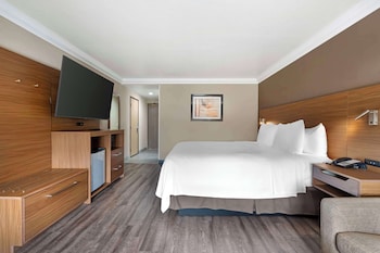 Standard Room, 1 King Bed, Non Smoking, Refrigerator (with Sofabed)