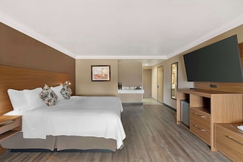 Standard Room, 1 King Bed, Non Smoking, Bathtub