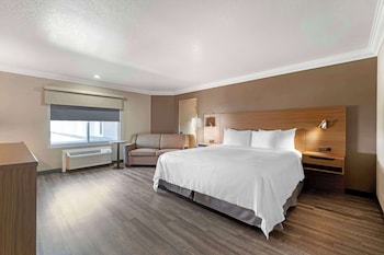 Standard Room, 1 King Bed, Non Smoking, Jetted Tub (with Sofabed)
