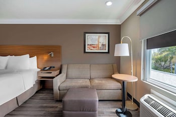 Standard Room, 1 King Bed, Non Smoking, Refrigerator (with Sofabed)